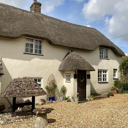 Guest Suite at 31 Little England Milborne Saint Andrew Extérieur photo