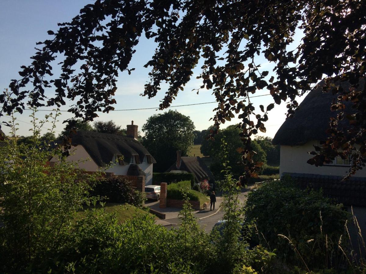 Guest Suite at 31 Little England Milborne Saint Andrew Extérieur photo