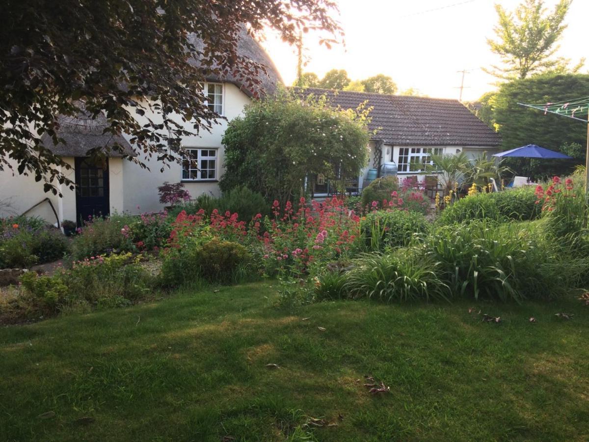 Guest Suite at 31 Little England Milborne Saint Andrew Extérieur photo